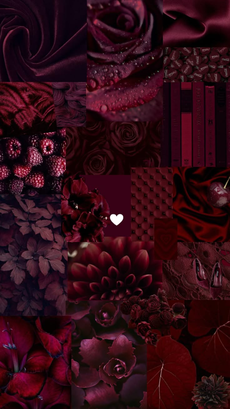 🌙 Dark Darlings